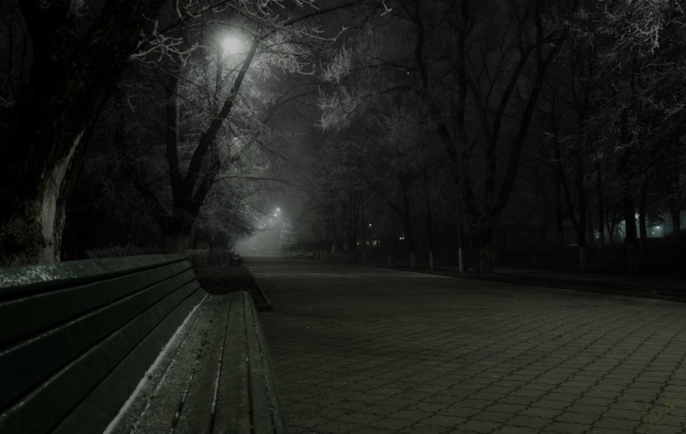 Мрачный ночной парк