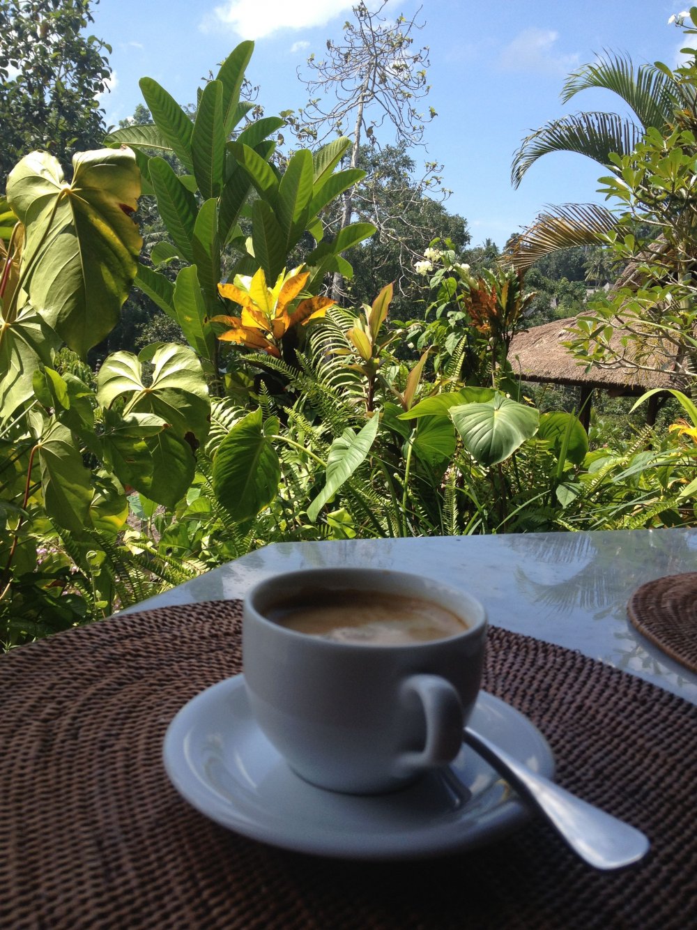 Кофе в саду