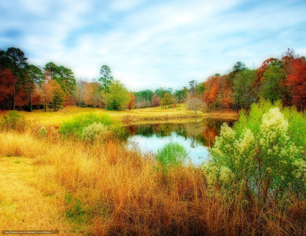 Осень поле лес река