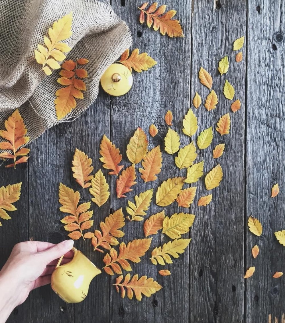 Креативные идеи с осенними листьями