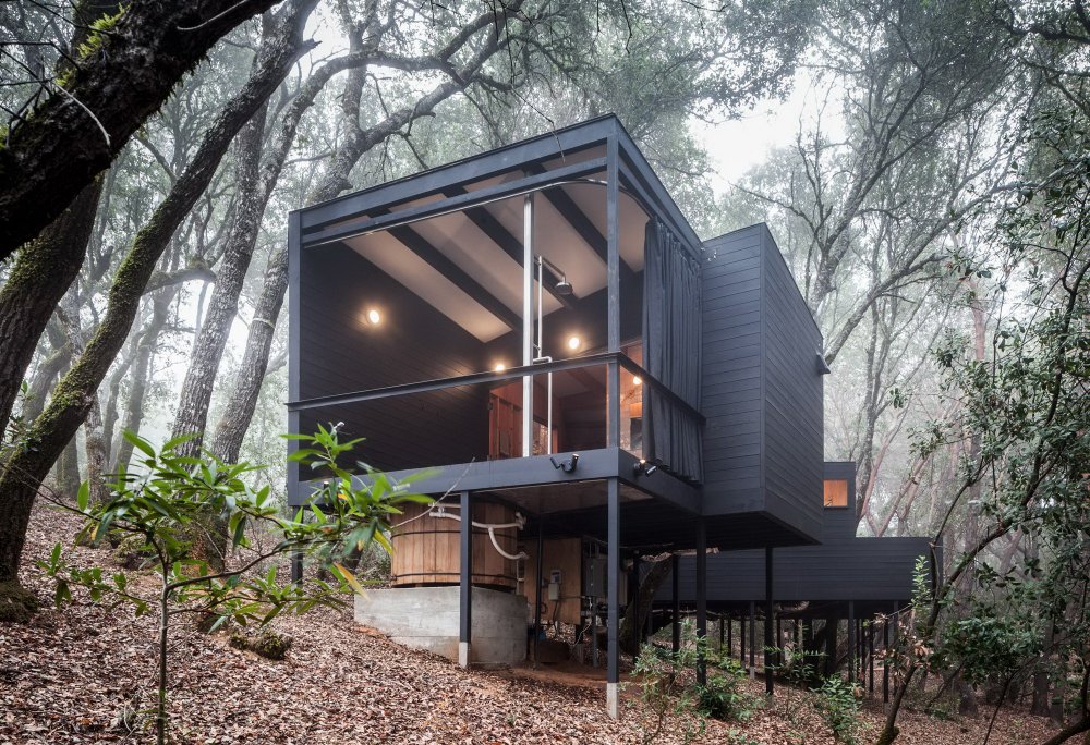 Черный дом в лесу