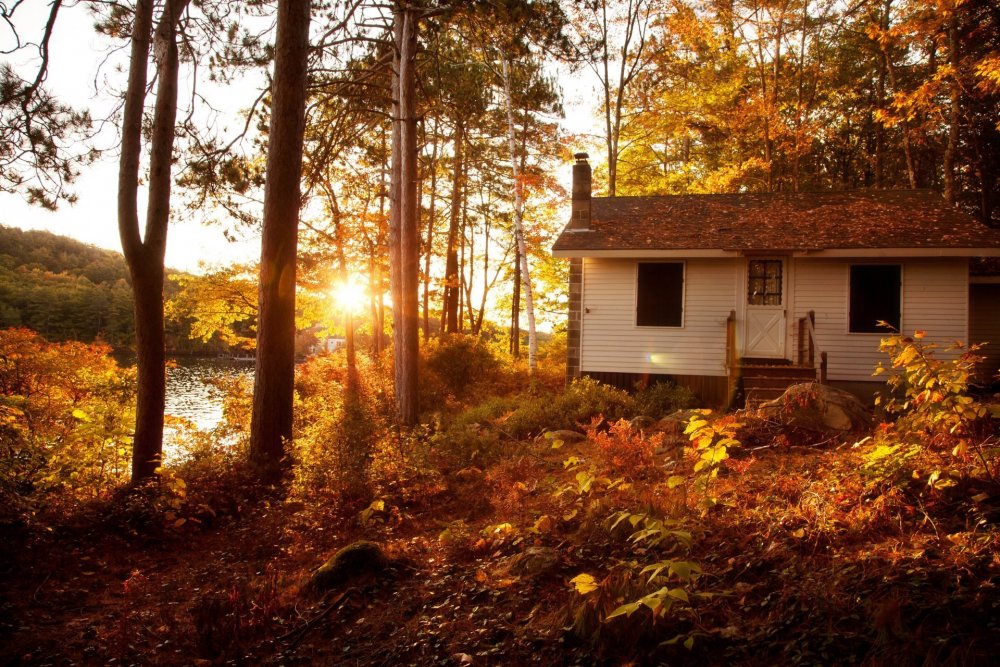Дом в осеннем лесу