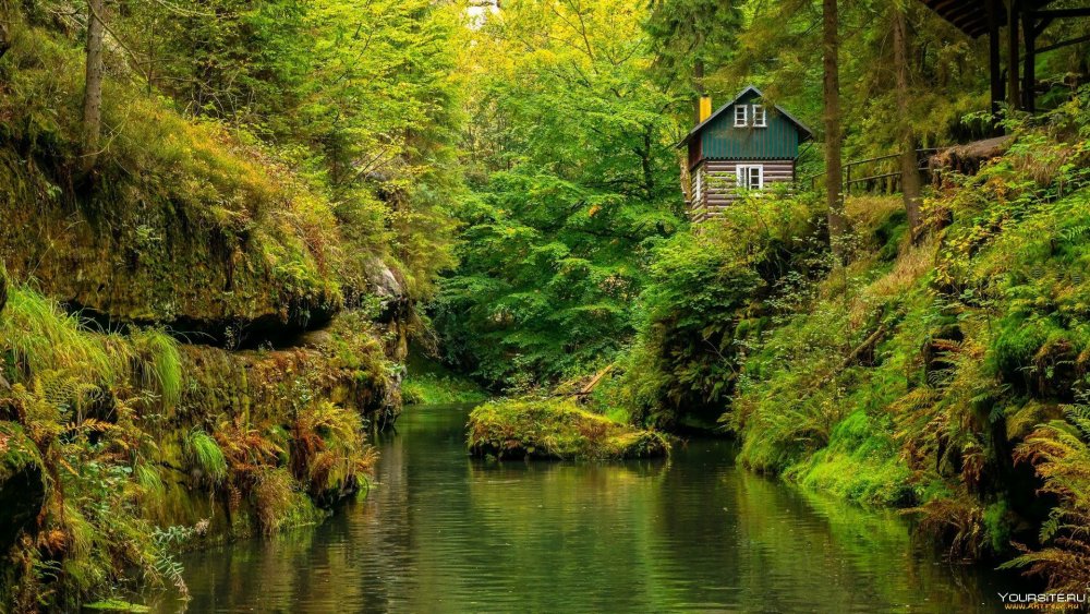 Дом в лесу у реки