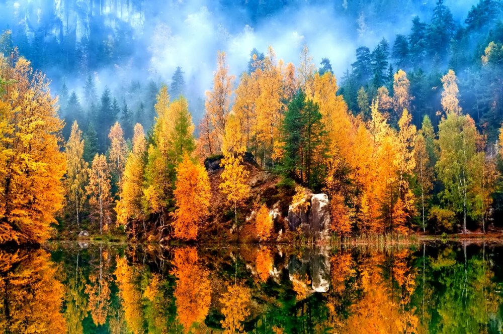 Осенний лес пейзаж