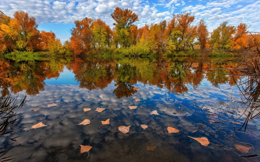 Осень природа река листопад