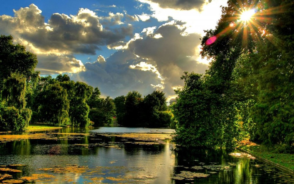 Природа лето река лес озеро солнце фото