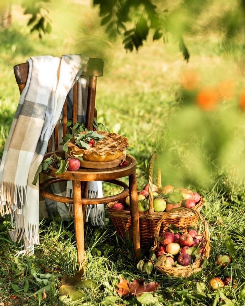 Осенний пикник на природе
