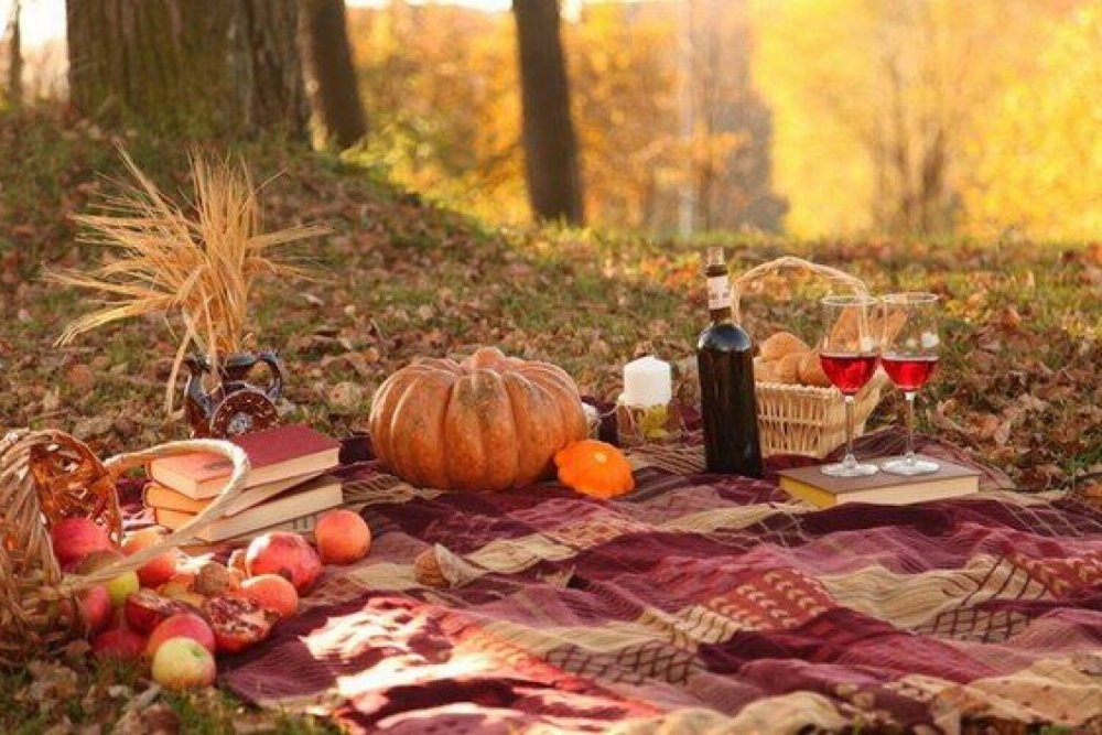 Осенний пикник на природе