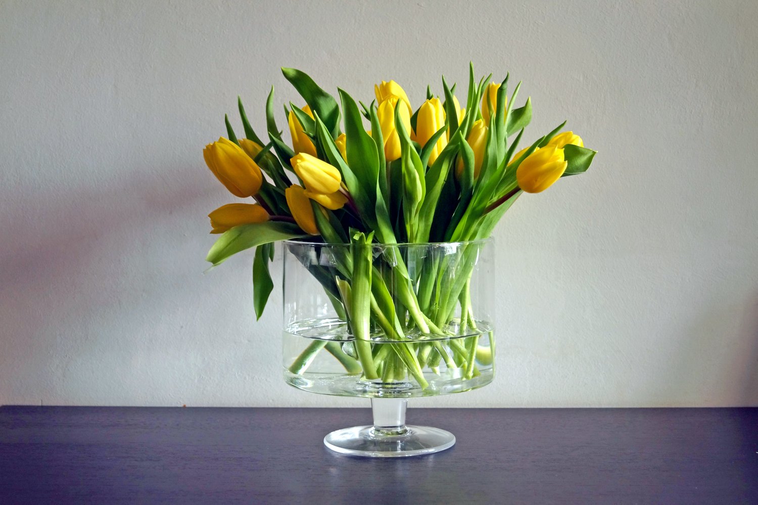 Что нужно сделать чтобы тюльпаны простояли дольше. Букет тюльпанов в интерьере. Желтые тюльпаны в вазе. Тюльпаны долгостоящие. Стабилизированные тюльпаны.