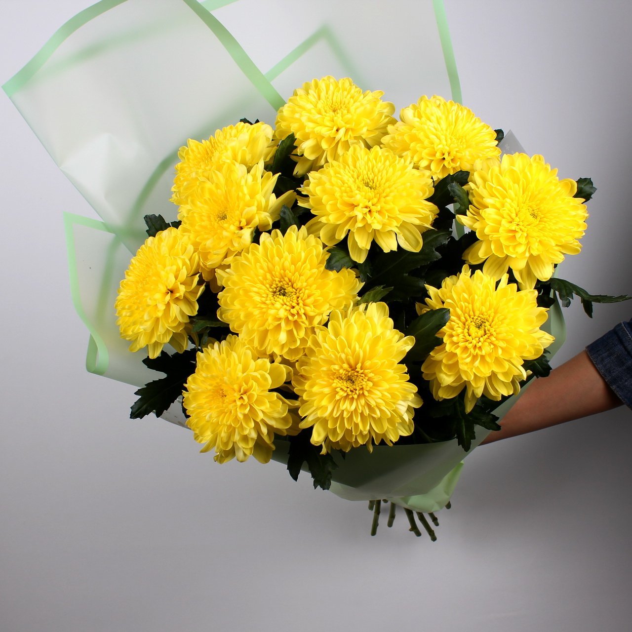 Цветы желтые хризантемы. Хризантема Кинг Еллоу. Хризантема желтая одноголовая. Желтые одноголовые хризантемы букет.