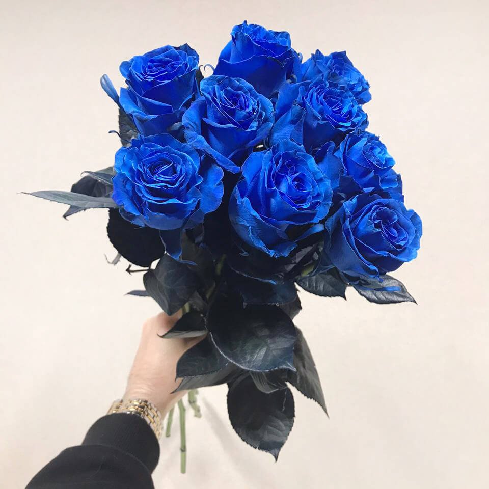 Букет из 9 синих роз