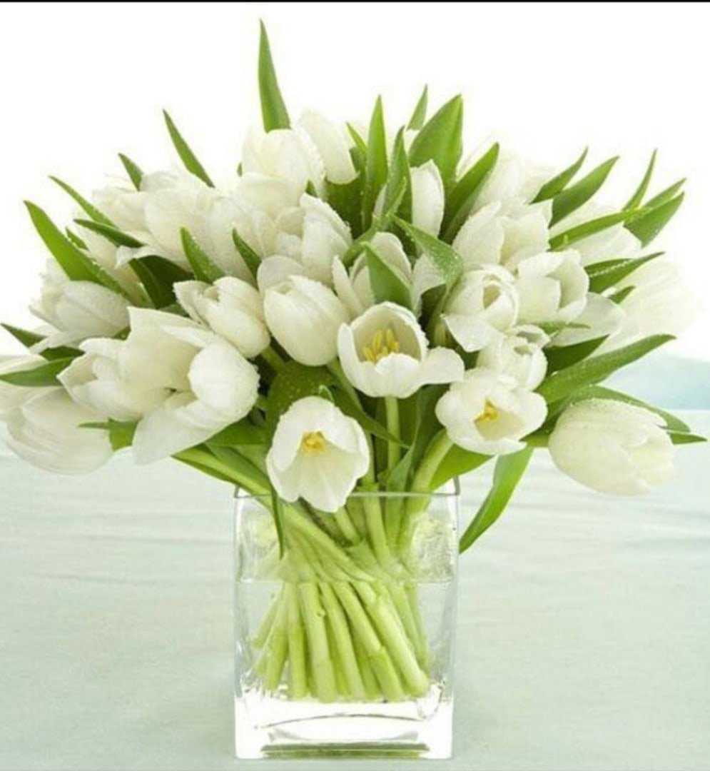 Белые тюльпаны красивый букет