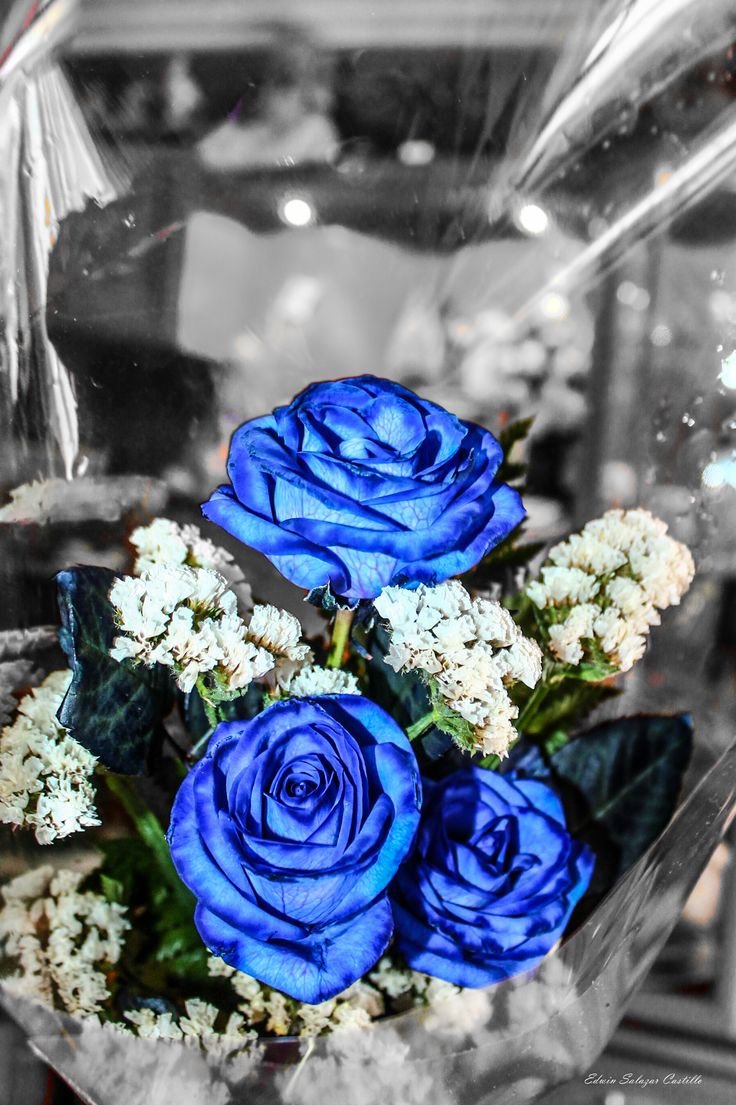 Синие и голубые мыльные розы