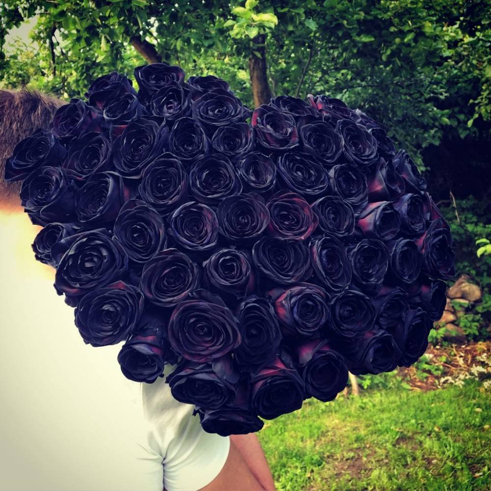 Большие букеты черных роз