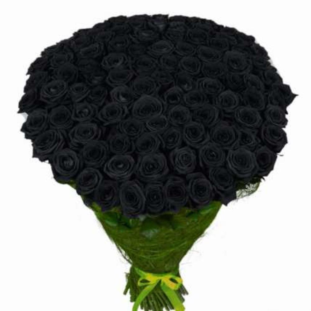 101 Черная роза