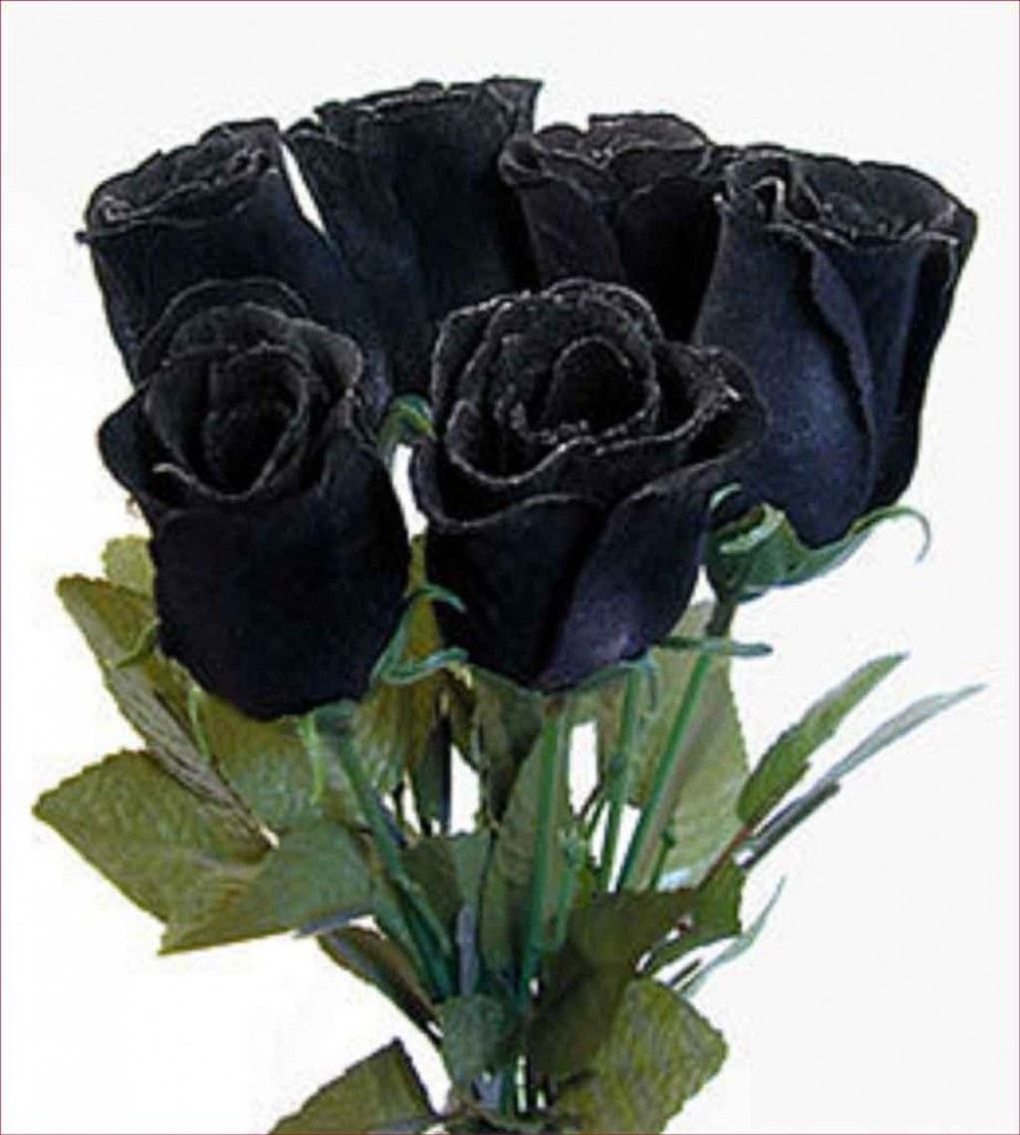Две черные розы
