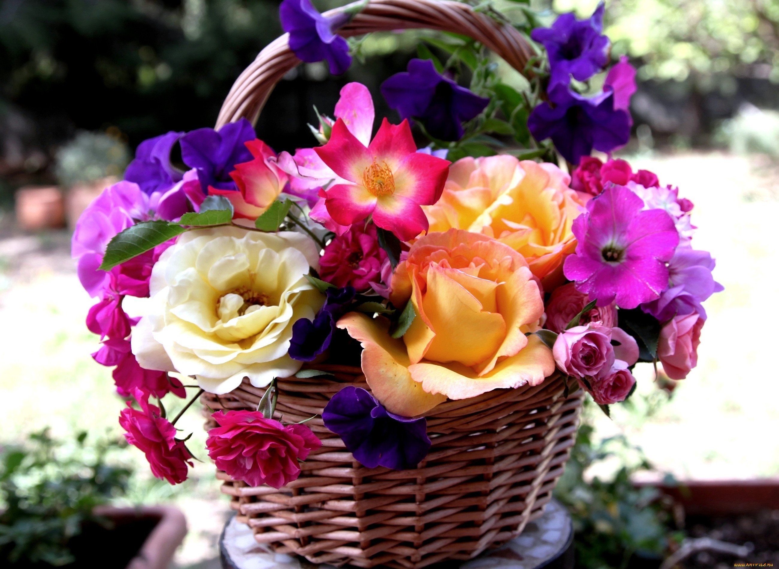 Cvety. Красивый букет цветов. Красивые цветочки. Красивый яркий букет. Яркий букет цветов.