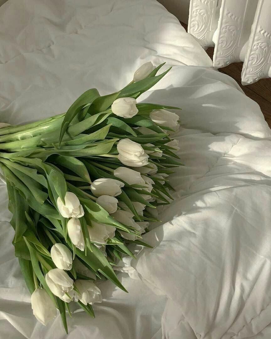 Букет белых тюльпанов Минимализм