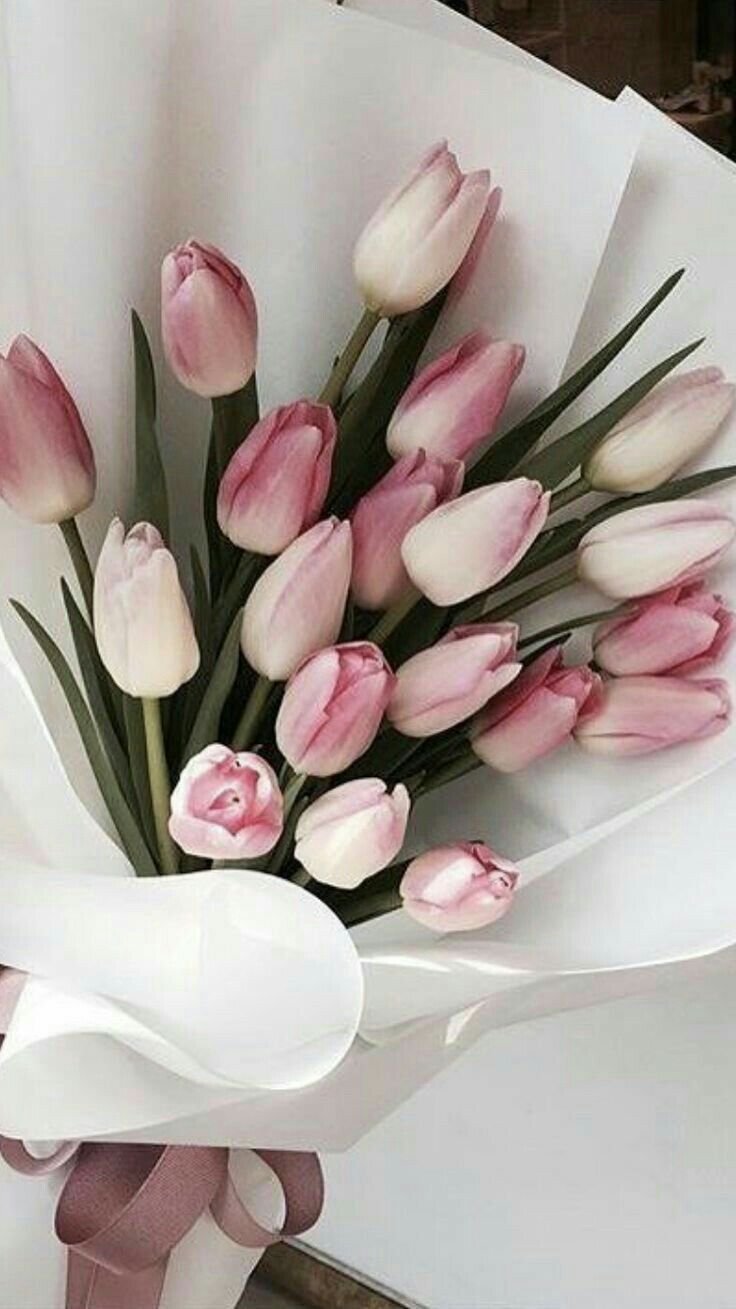 Букет из розовых тюльпанов на светло сером фоне