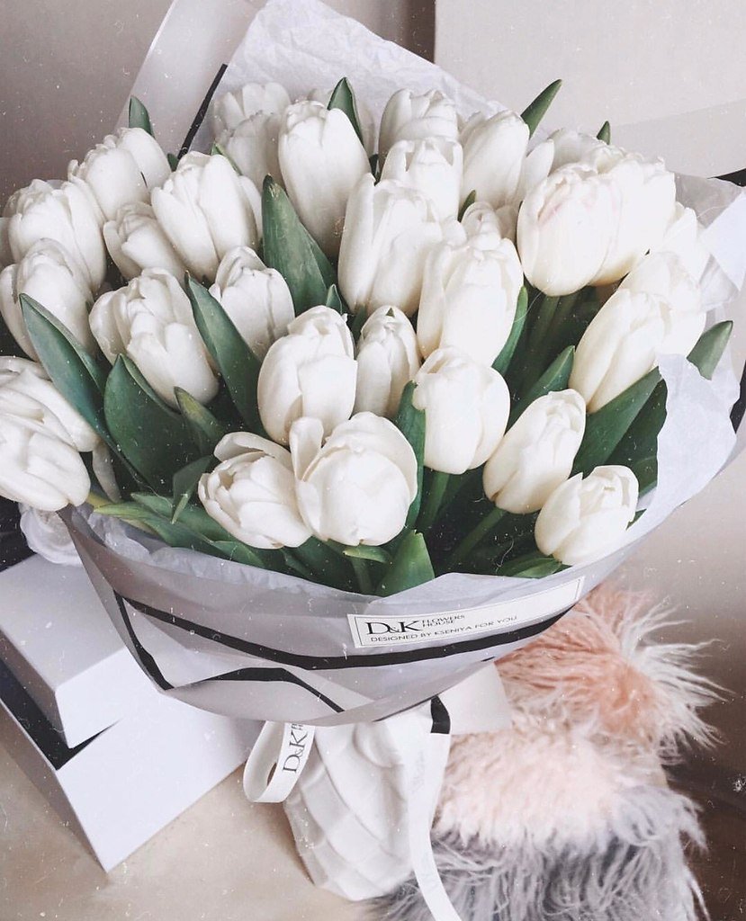 Белые тюльпаны Эстетика