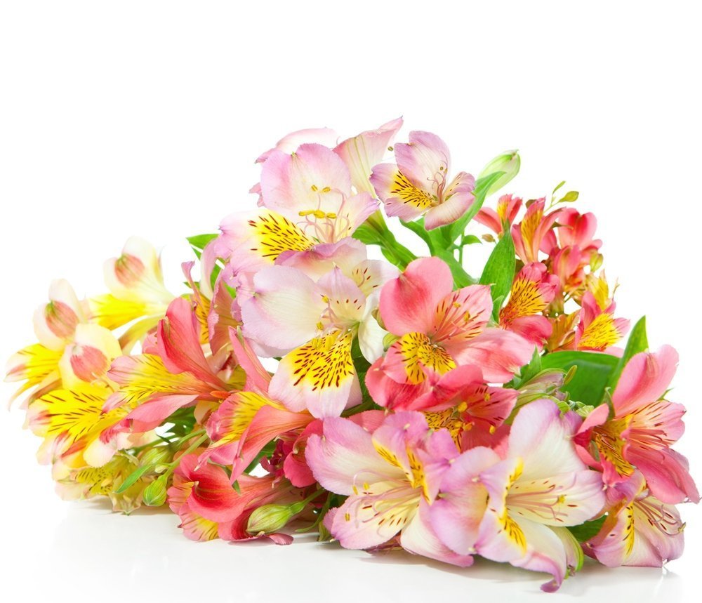 Букет лилии альстромерия хризантемы