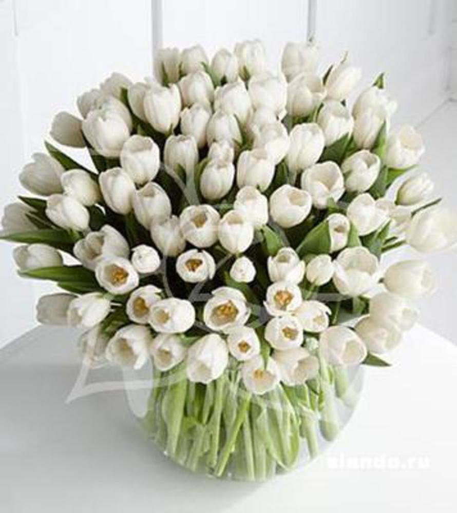 Букет белых тюльпанов с днем рождения