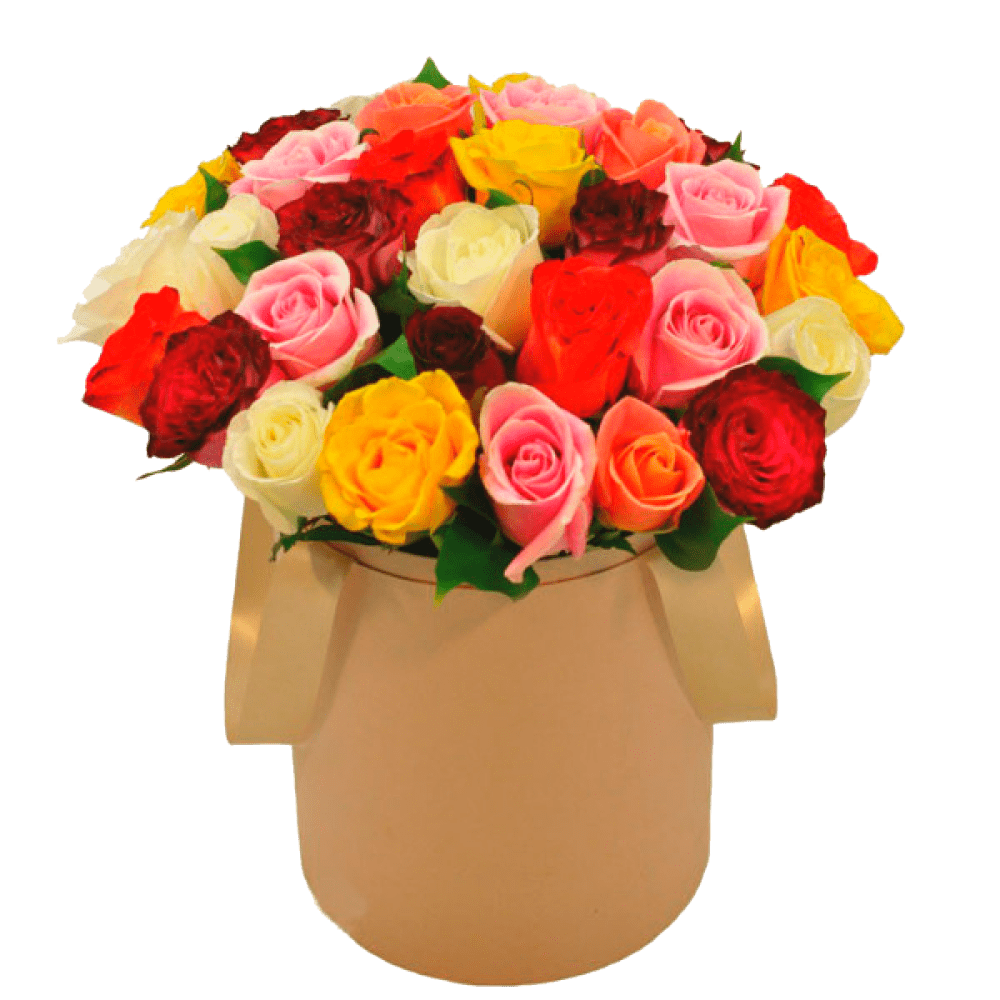 7 Радужных роз Эквадор (60 см)