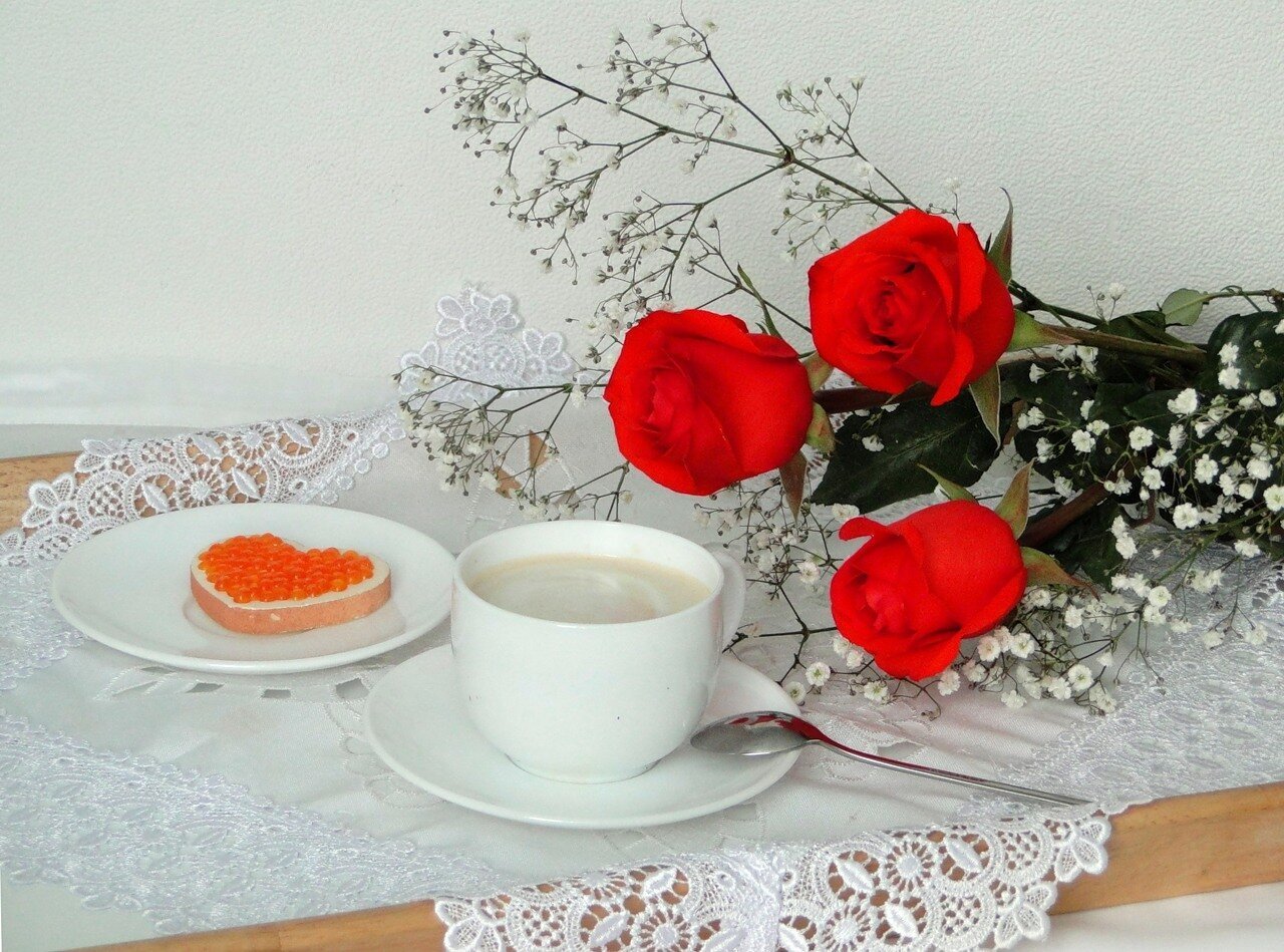 Доброе утро любимая моя картинки романтичные. Утренние цветы. Утренний букет. Красивый утренний букет. Доброе утро цветы.