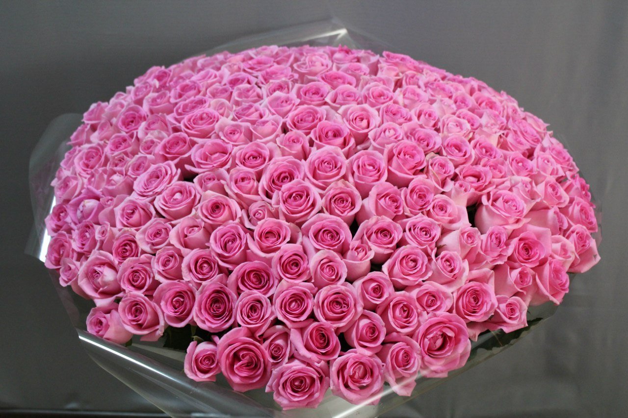 Красивые фото роз большие. Шикарный букет цветов. Красивый букет роз. Огромный букет цветов. Букет роз огромный.