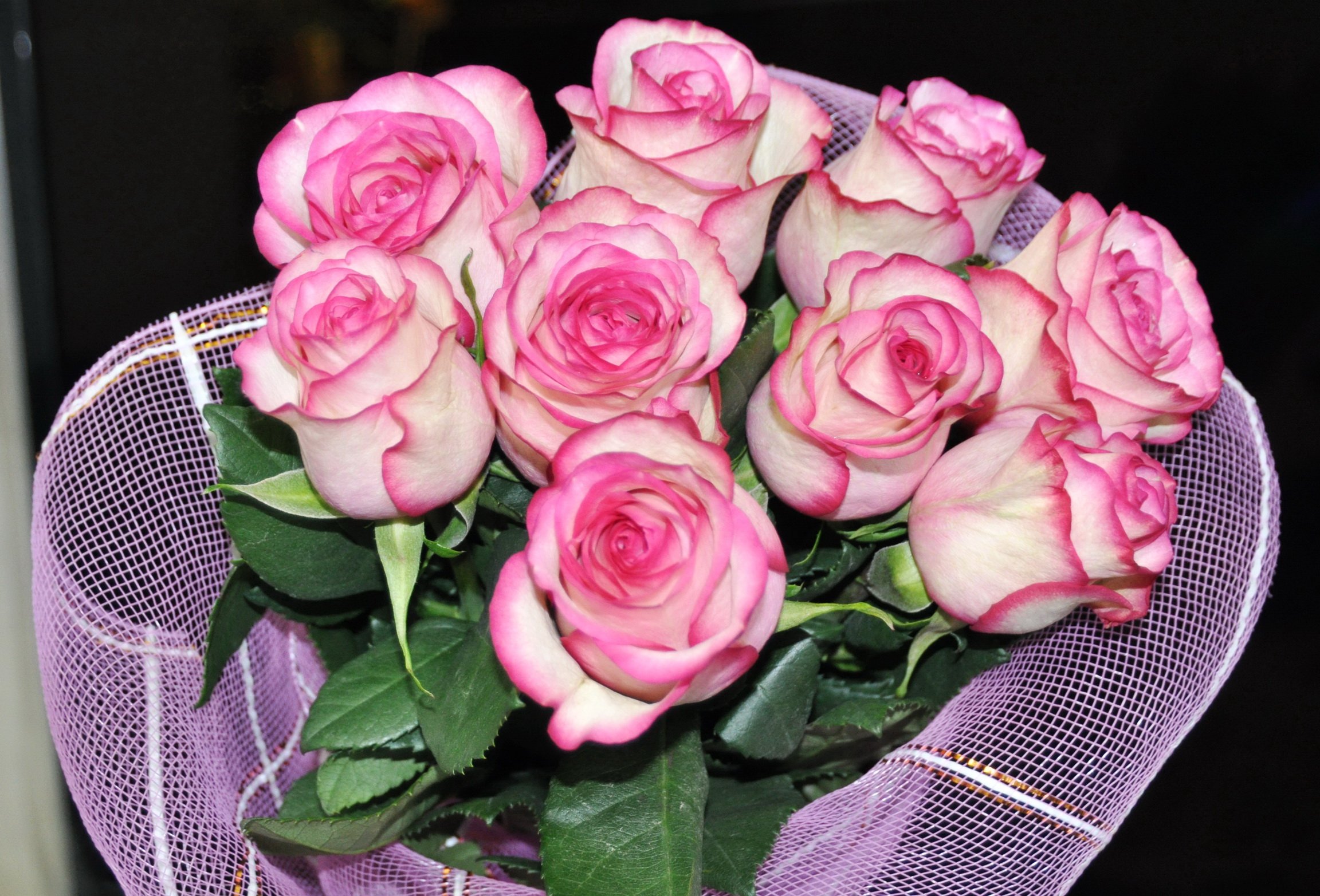 1415 роз. Букет роз. Красивый букет роз. Шикарные розовые розы.