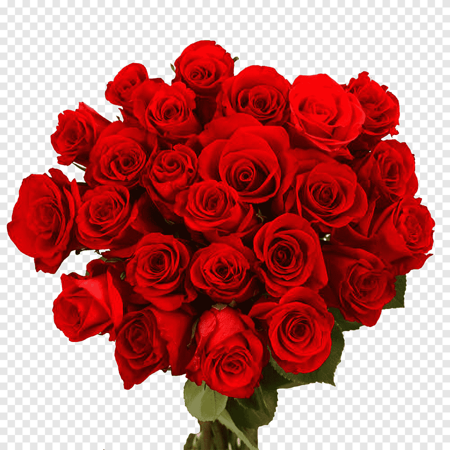 Букет красных роз для фотошопа