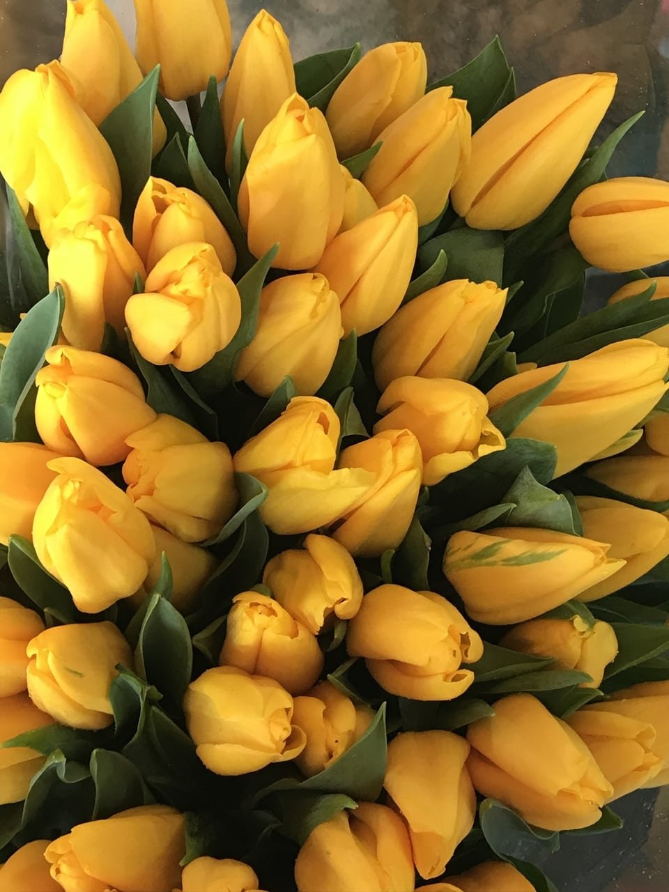Букет «Ирис и желтый тюльпан»