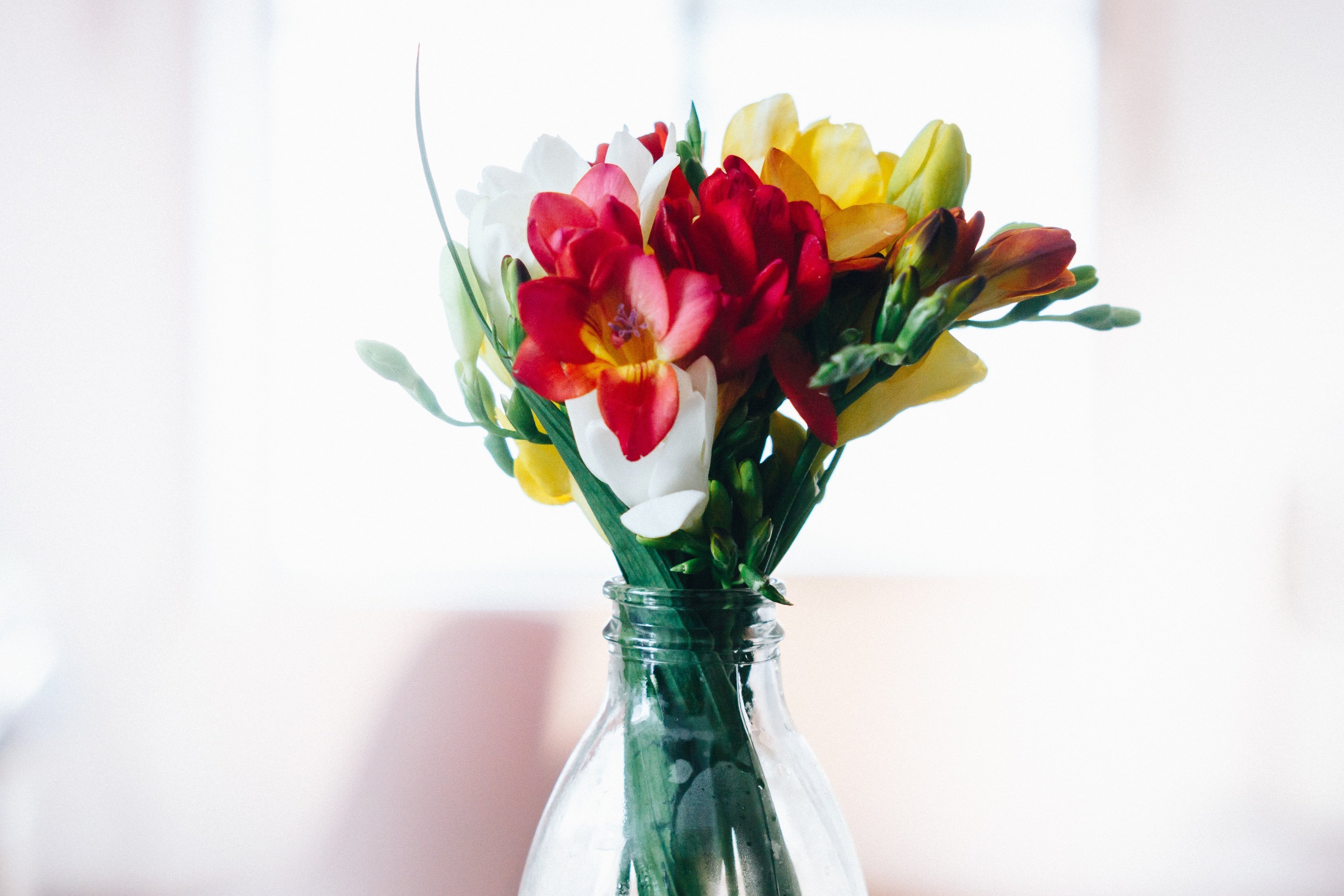 Какая вода для тюльпанов в вазе. Цветы в вазе. Красивые вазы с цветами. Букет цветов в вазе. Ваза с цветком.