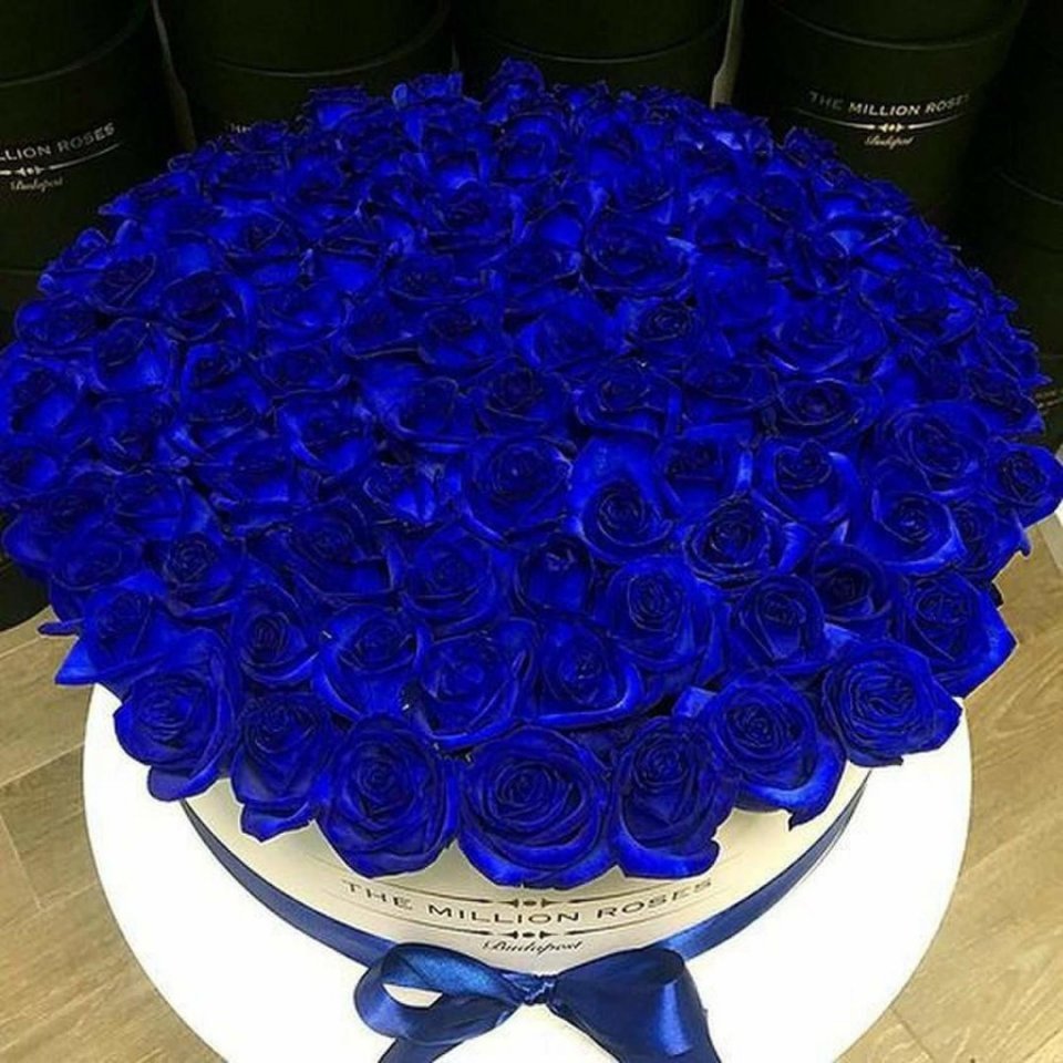 Флорико 15 синих роз, 60 см