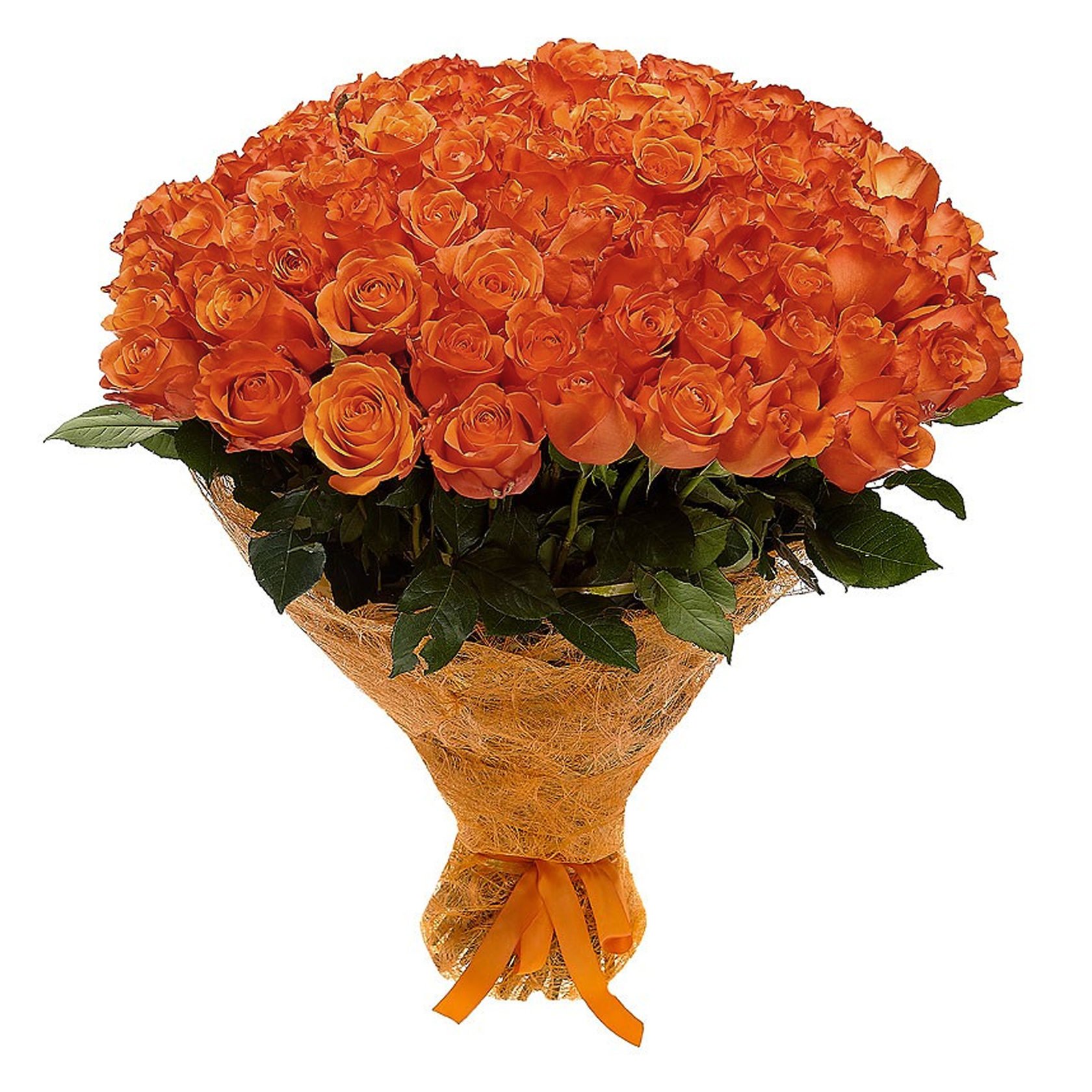 Букет оранжевых цветов. Оранжевые розы. Огромный букет. Букет из оранжевых роз.