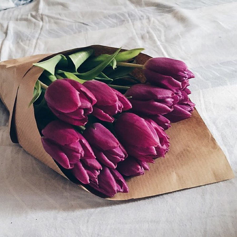 Фиолетовые тюльпаны в руках