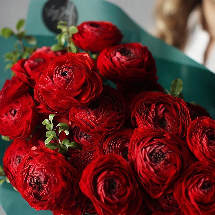 Букет из красных роз