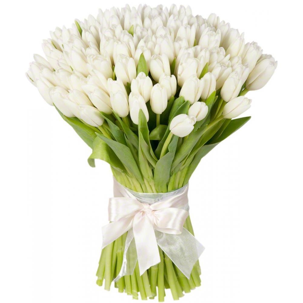 Букет 101 белый тюльпан