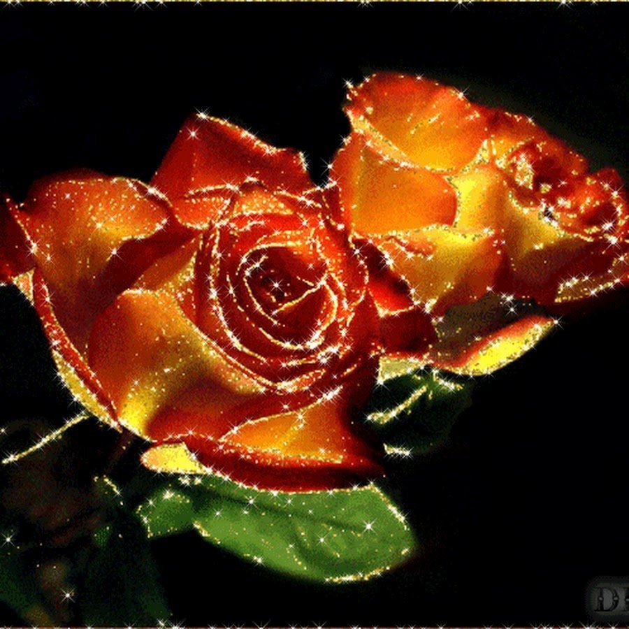 Букет роз с блестками. Переливающиеся цветы. Мерцающие розы. Блестящие цветы.