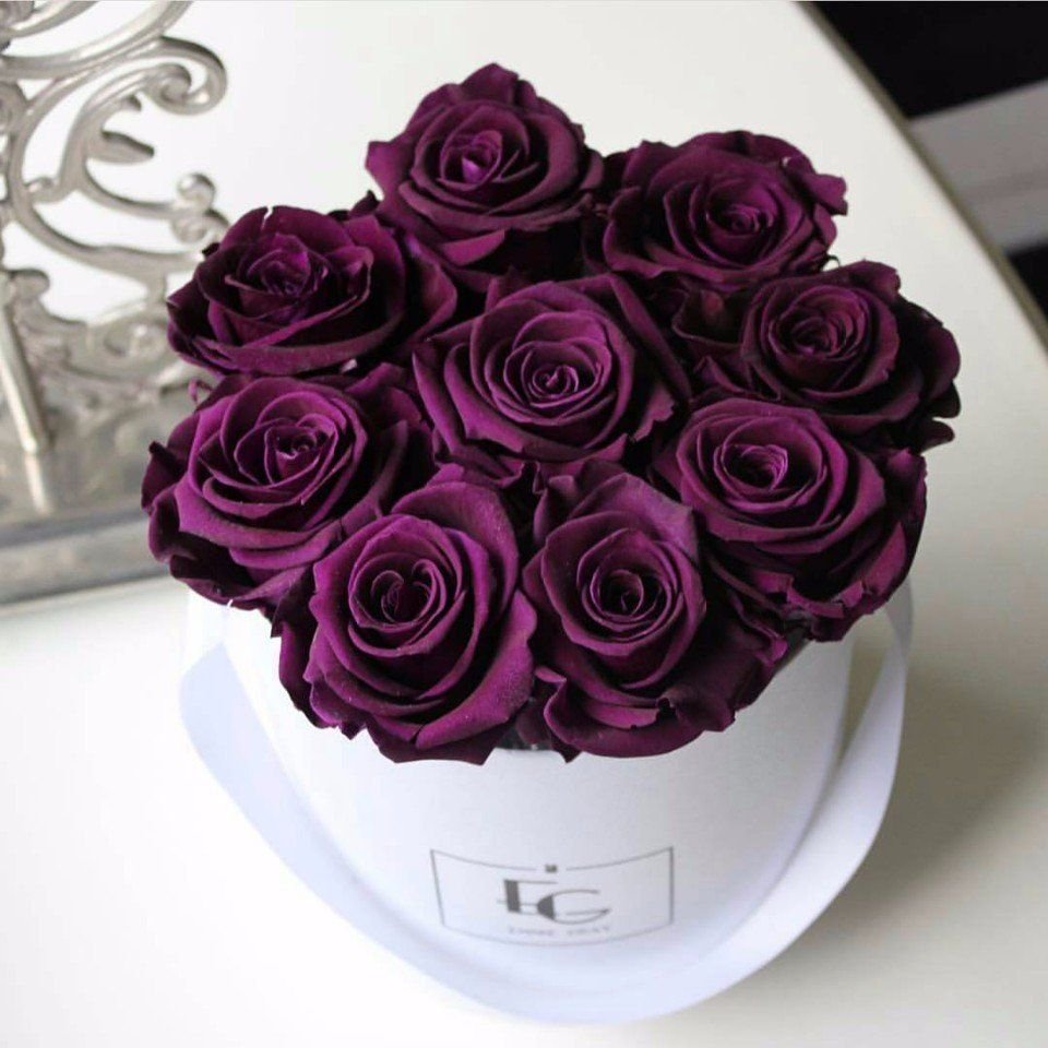 Фиолетовые розы букет