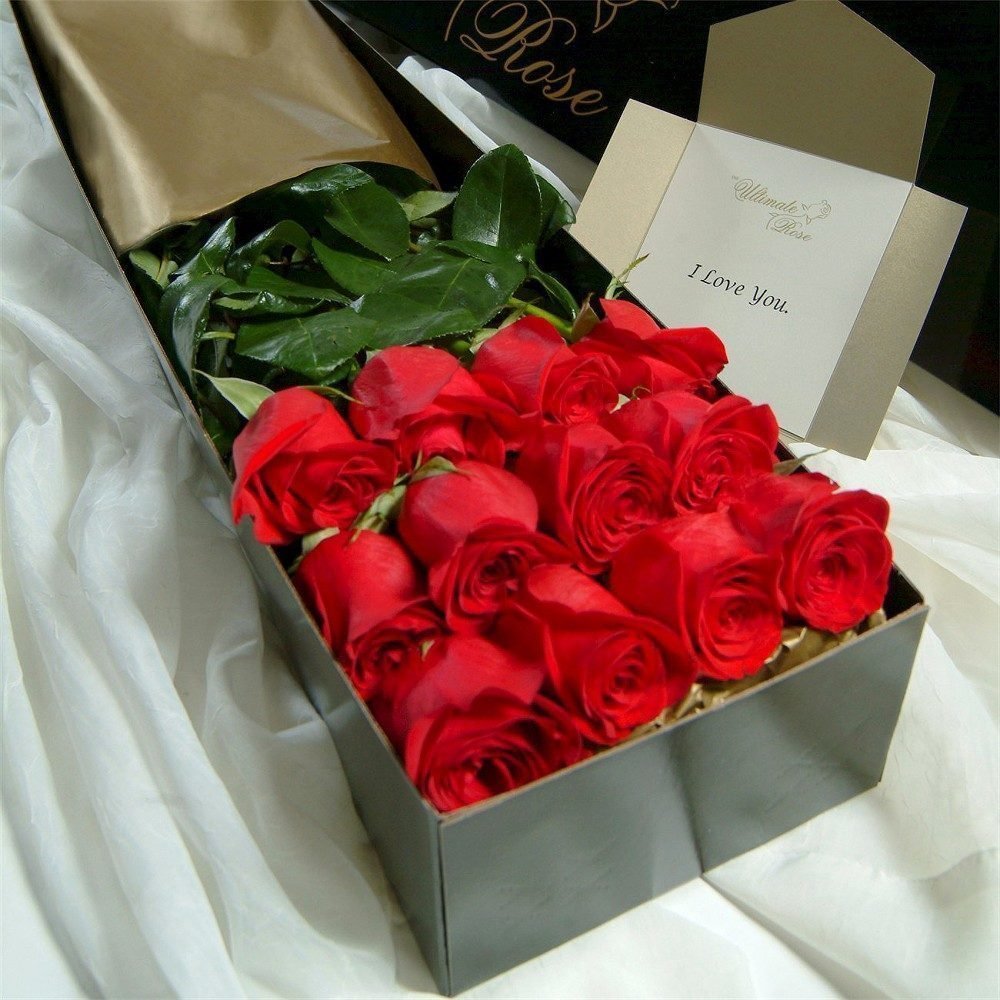 Розы подарок девушке