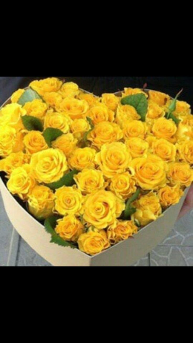 Громадный букет желтых роз