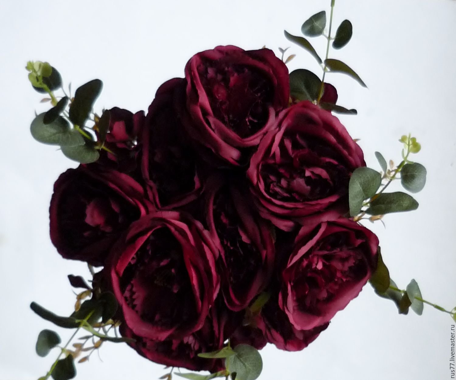 Бордовые розы купить. Розы Бургундия пионовидные.