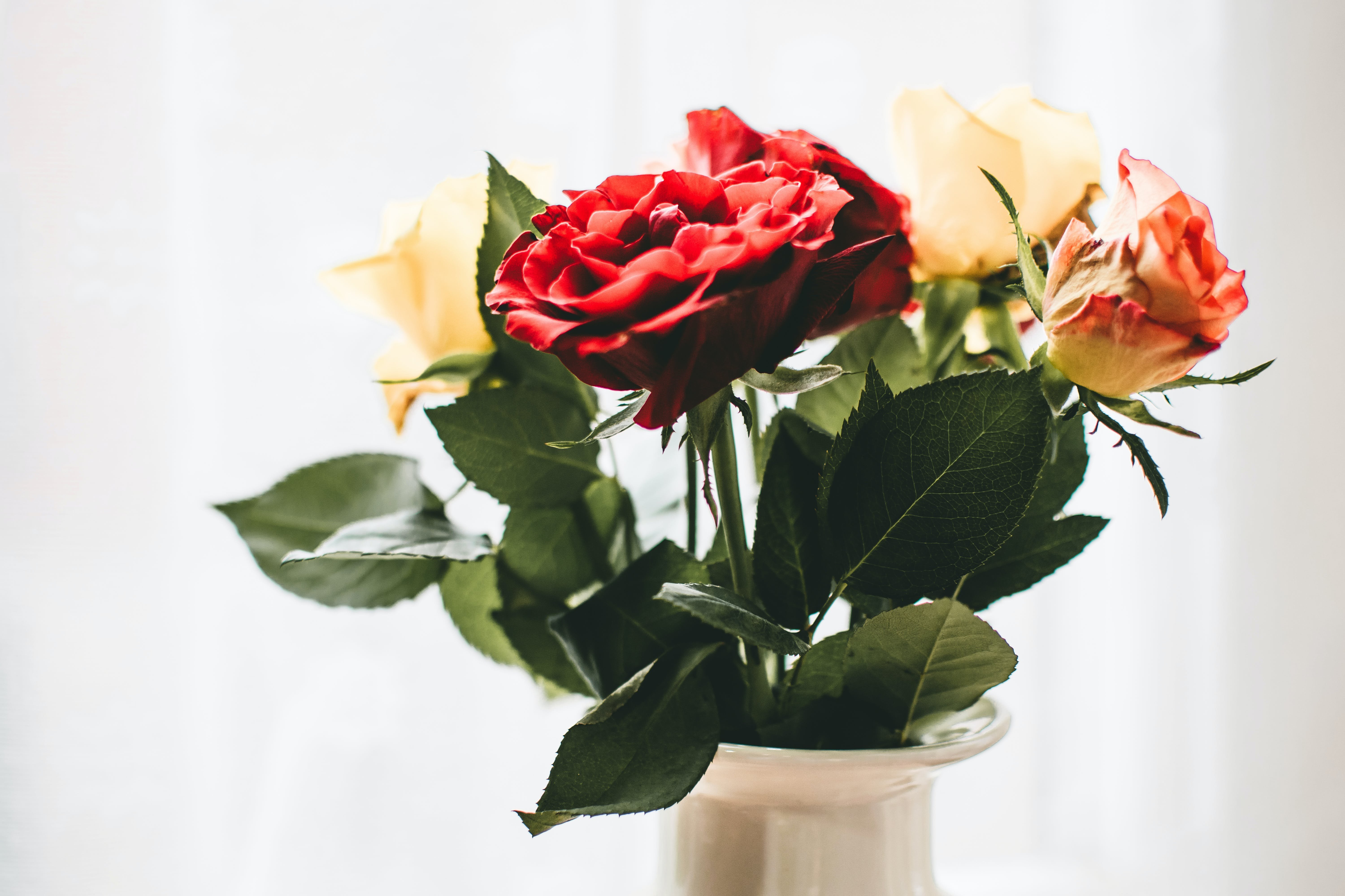 Лучшие розы в вазе. Розы в вазе. Букет роз в вазе. Красивые розы в вазе. Цветы на столе.