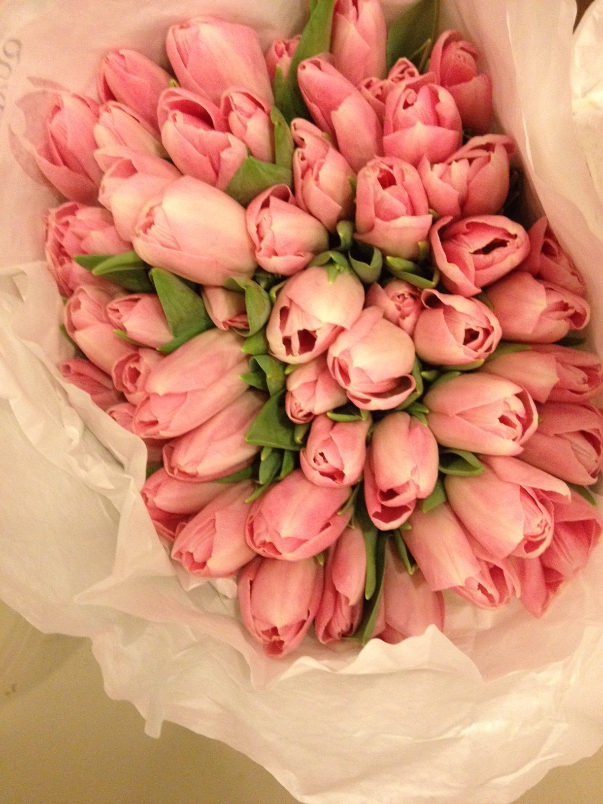 Букет розовых тюльпанов фото. Шикарный букет тюльпанов. Красивый букет розовых тюльпанов. Огромный букет тюльпанов.