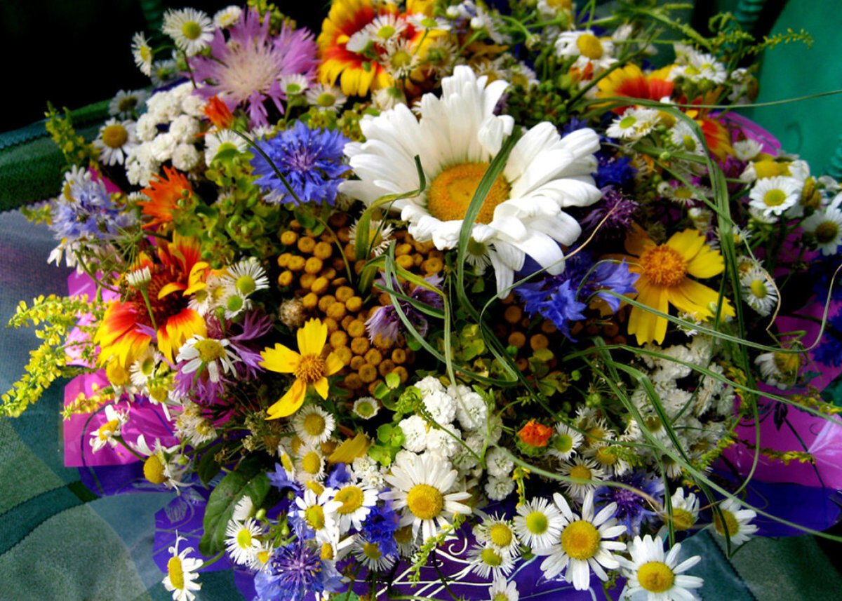 День рождения полевой букет. Красивый летний букет. Полевые цветы. Красивый букет цветов. Полевые цветы букеты красивые.