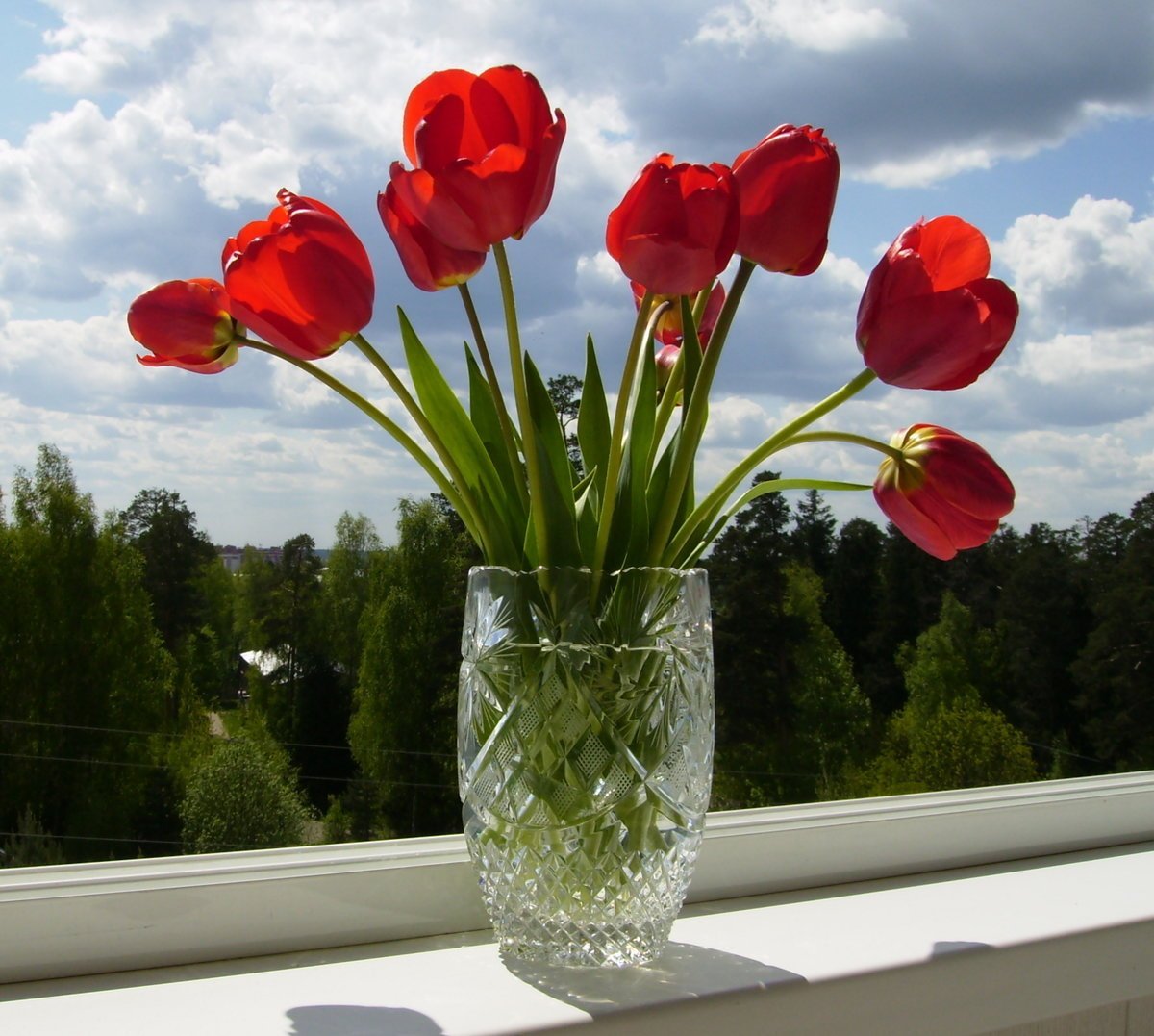 Розы и тюльпаны в одной вазе. Тюльпаны дома на окне. Цветы в вазе. Тюльпаны в вазе. Красивые тюльпаны в вазе.
