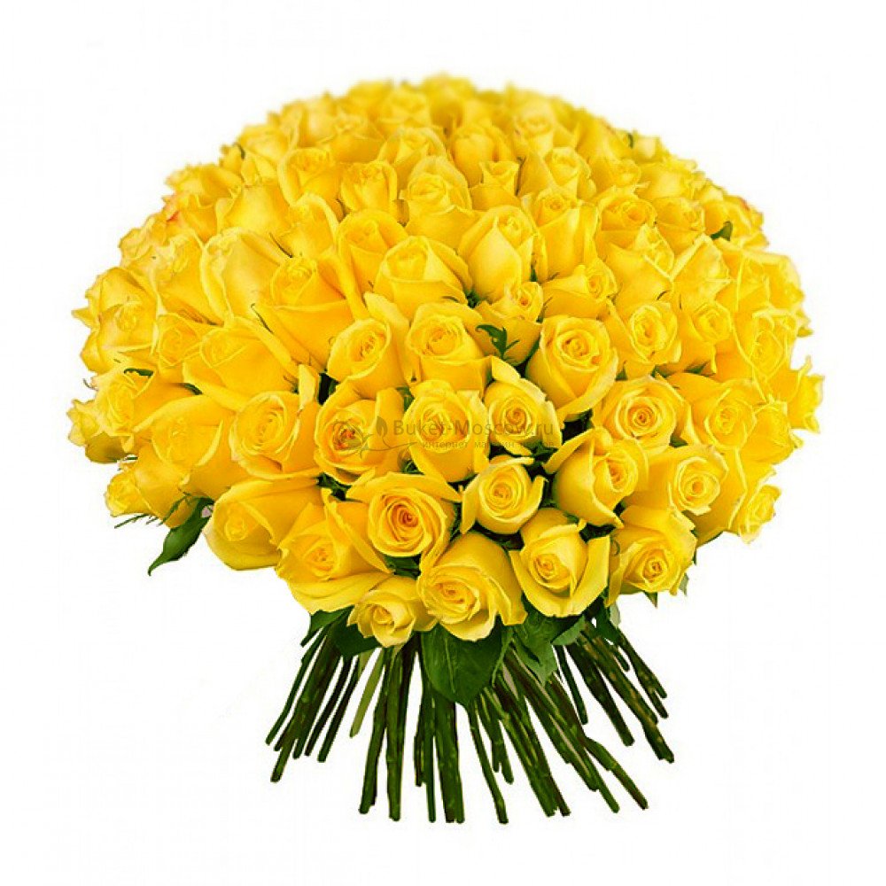 Большой красивый букет желтых роз