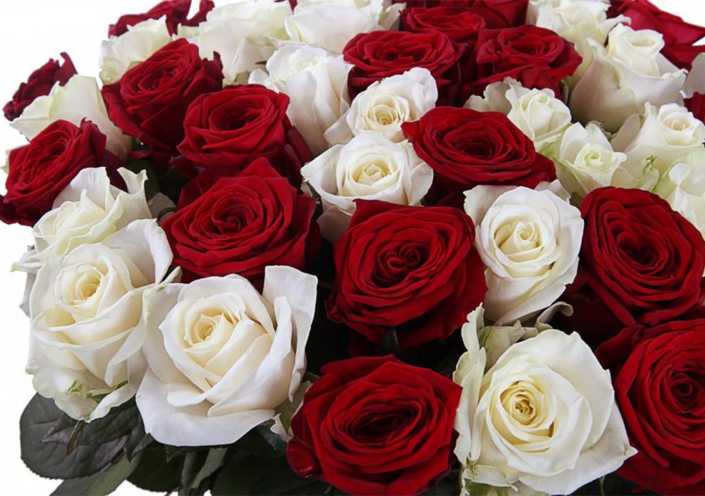 Букеты с белыми розами и гиперикумом