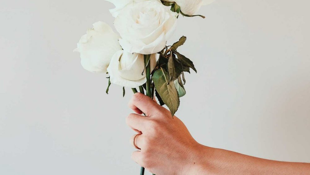 Белая роза в руке